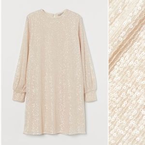 H&M Blush, Long-Sleeved Sequin Dress